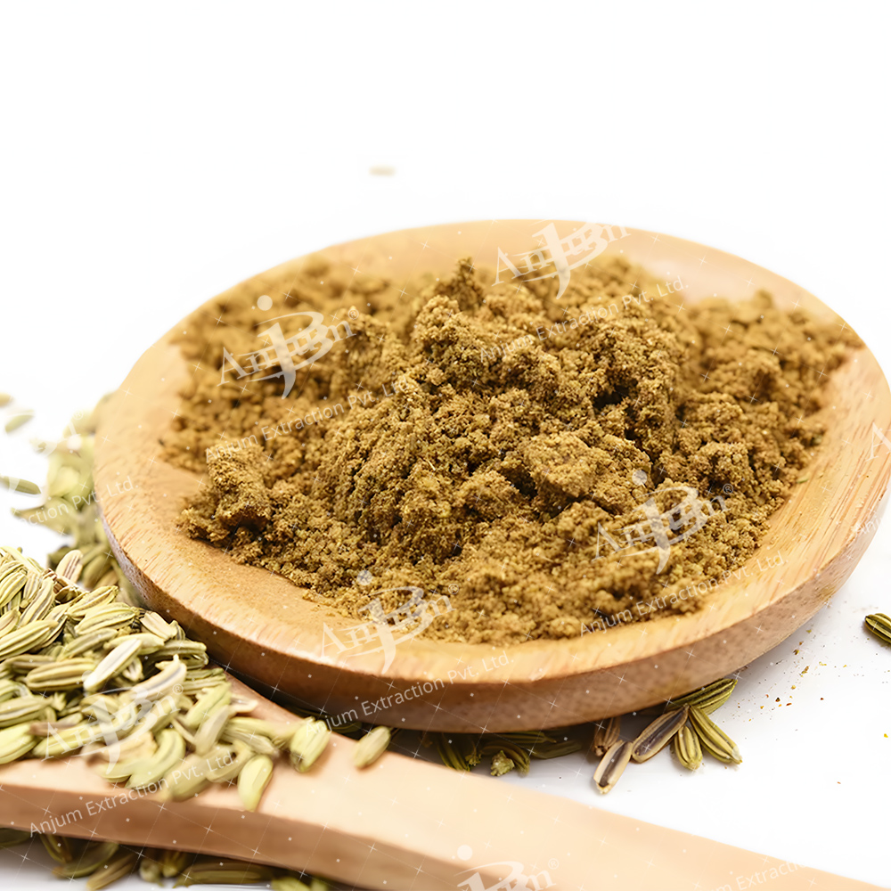 Foeniculum vulgare (Saunf) Extract