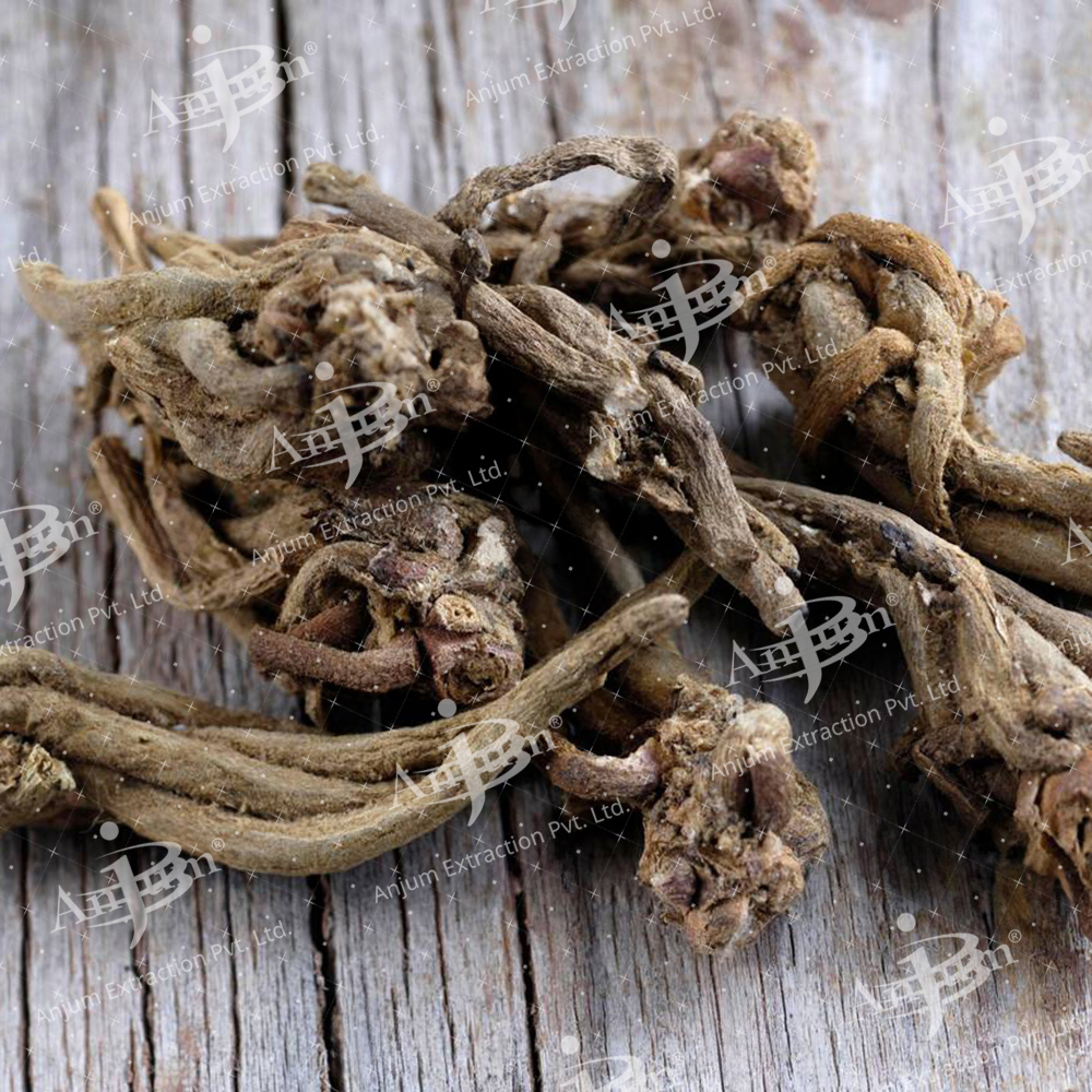 Valeriana wallichii (Tagar) Extract