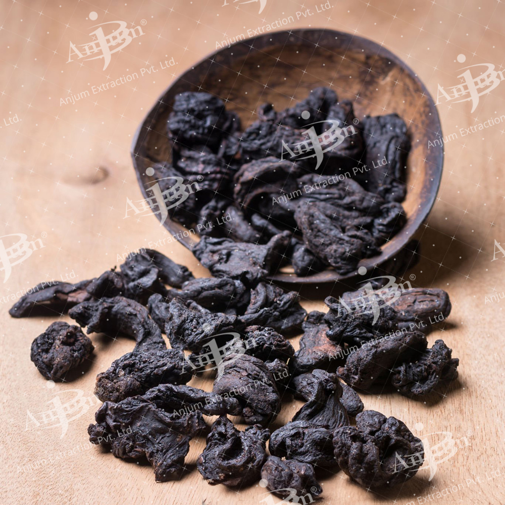 Vilaiti Imli (Garcinia cambogia) Extract