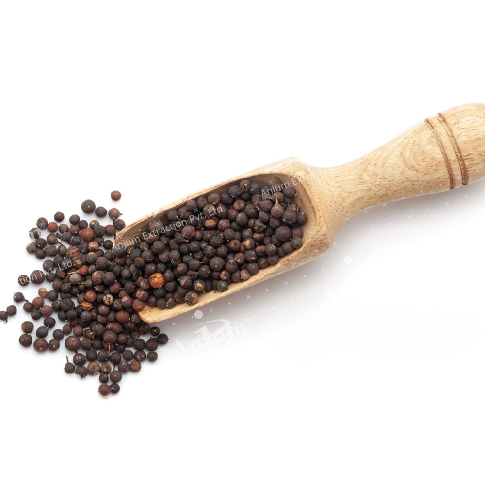 Embelia Ribes (Vidang) Extract - Application: Medicine