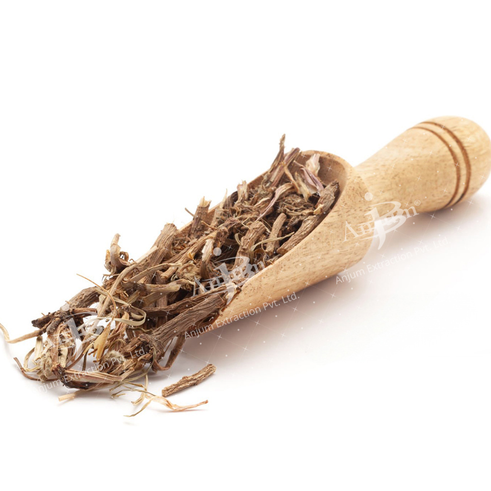Anacyclus Pyrethrum (Akarkara) Extract - Application: Medicine