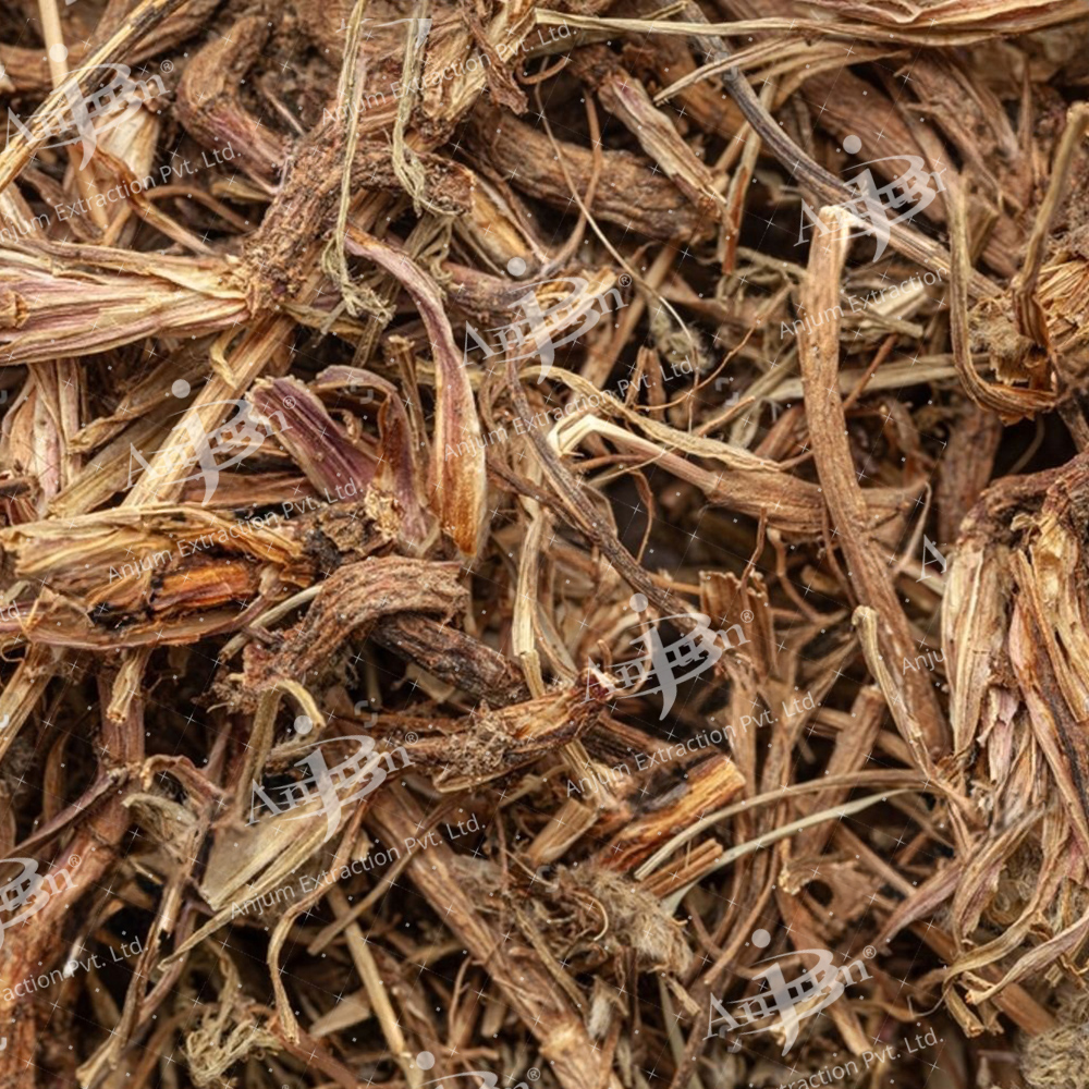 Anacyclus pyrethrum (Akarkara) Extract