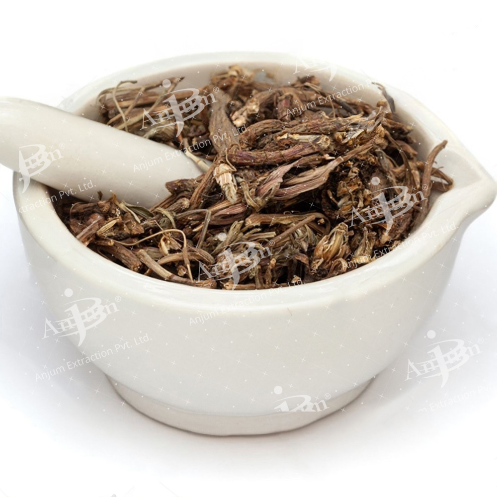 Anacyclus pyrethrum (Akarkara) Extract