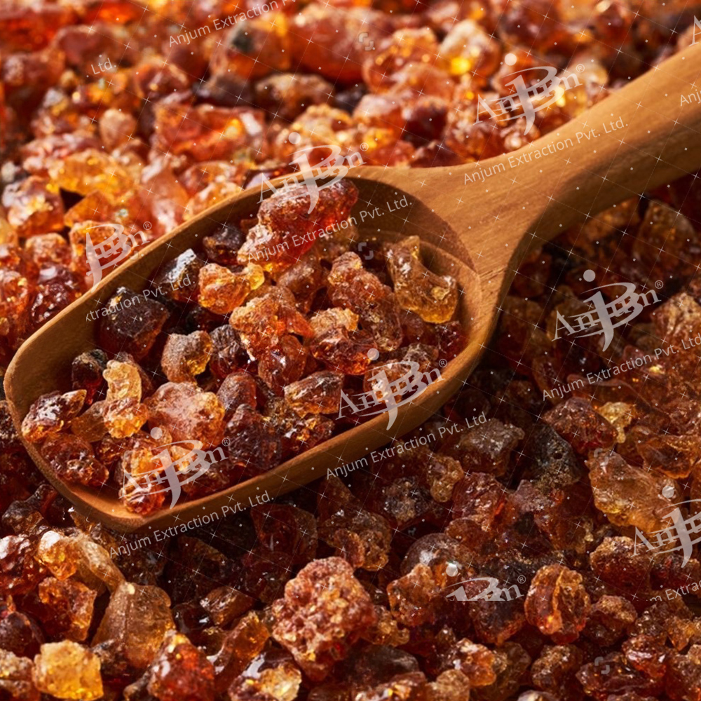 Acacia arabica (Babool Bark) Extract