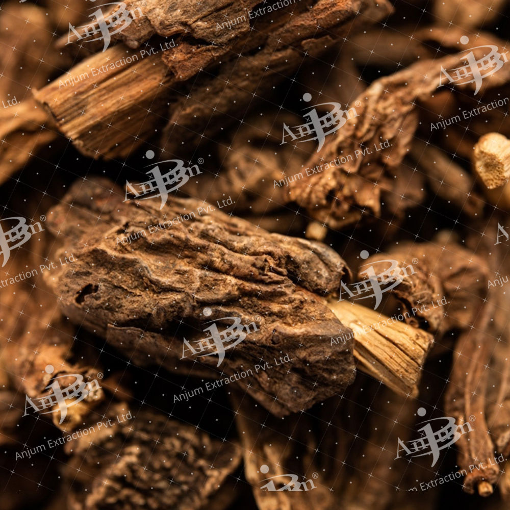 Symplocos racemosa (Lodhra) Extract