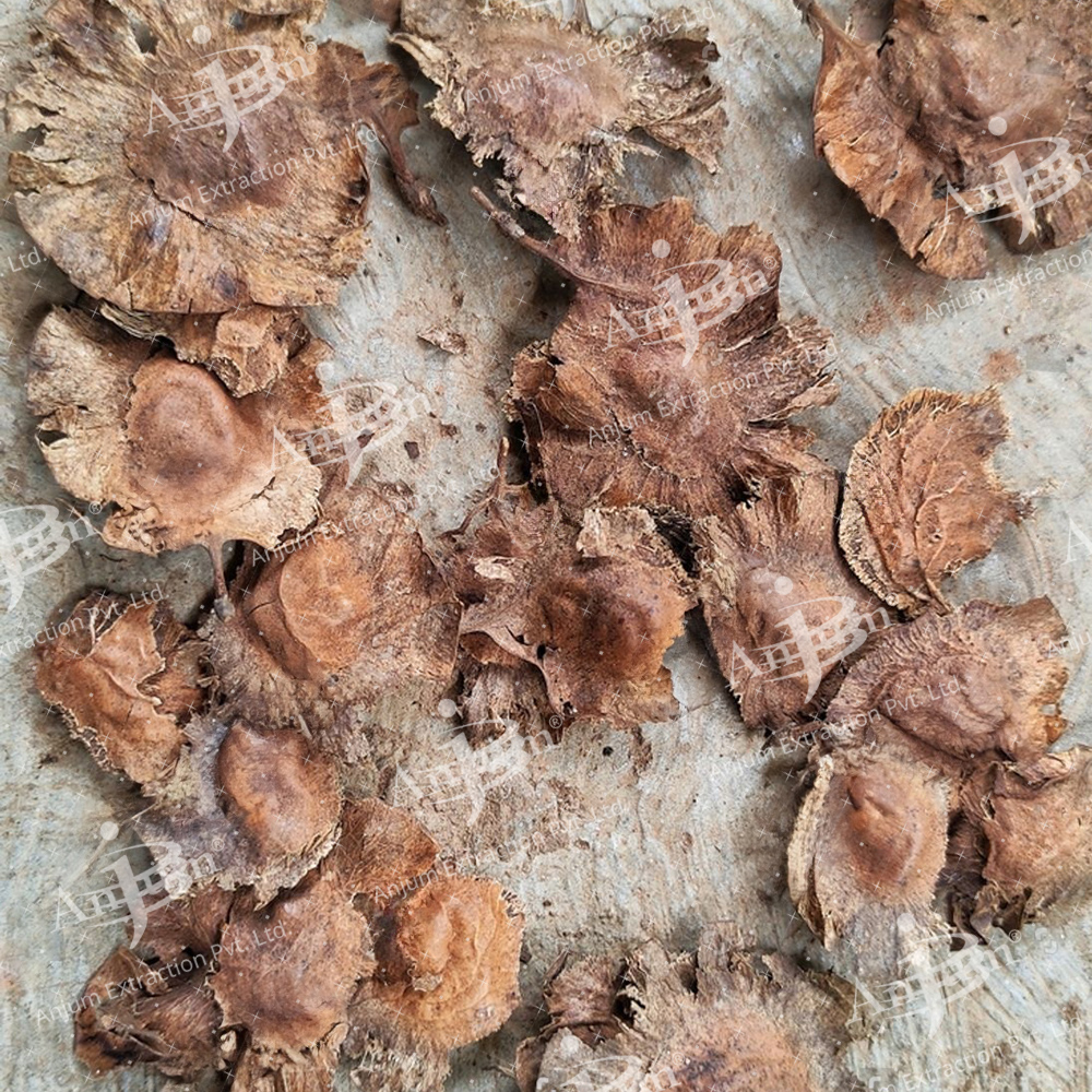 Vijaysar (Pterocarpus Marsupium) Extract - Application: Medicine