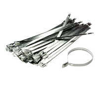 Conticare Metal Strap Seal - Color: Silver