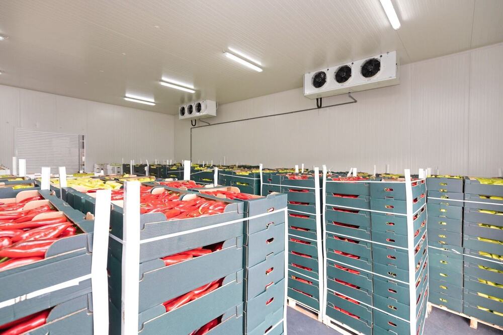 Cold Storage Warehouse - Application: Freezing