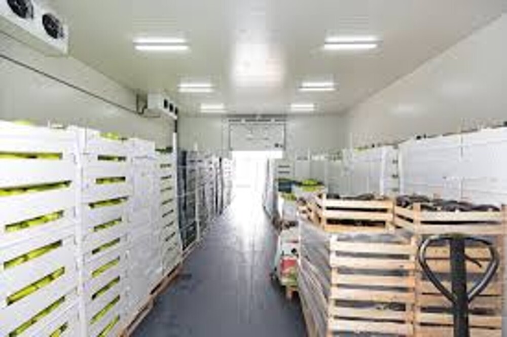 Cold Storage Solution - Usage: Industrial