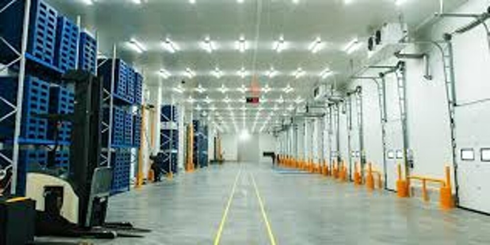 Multi Commodity Cold Storage - Usage: Industrial