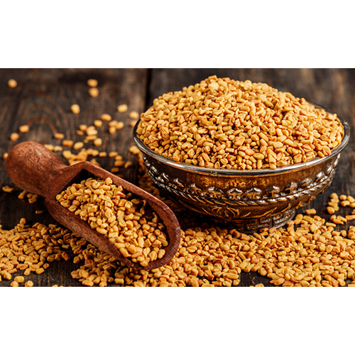 Fresh Fenugreek Seeds - Cultivation Type: Common