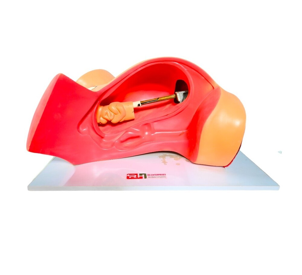 NURSING LAB EQUOPMENT BEST PRICE IN INDIA
