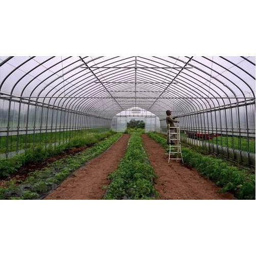 Tomato Polyhouse Structure - Features: Eco Friendly