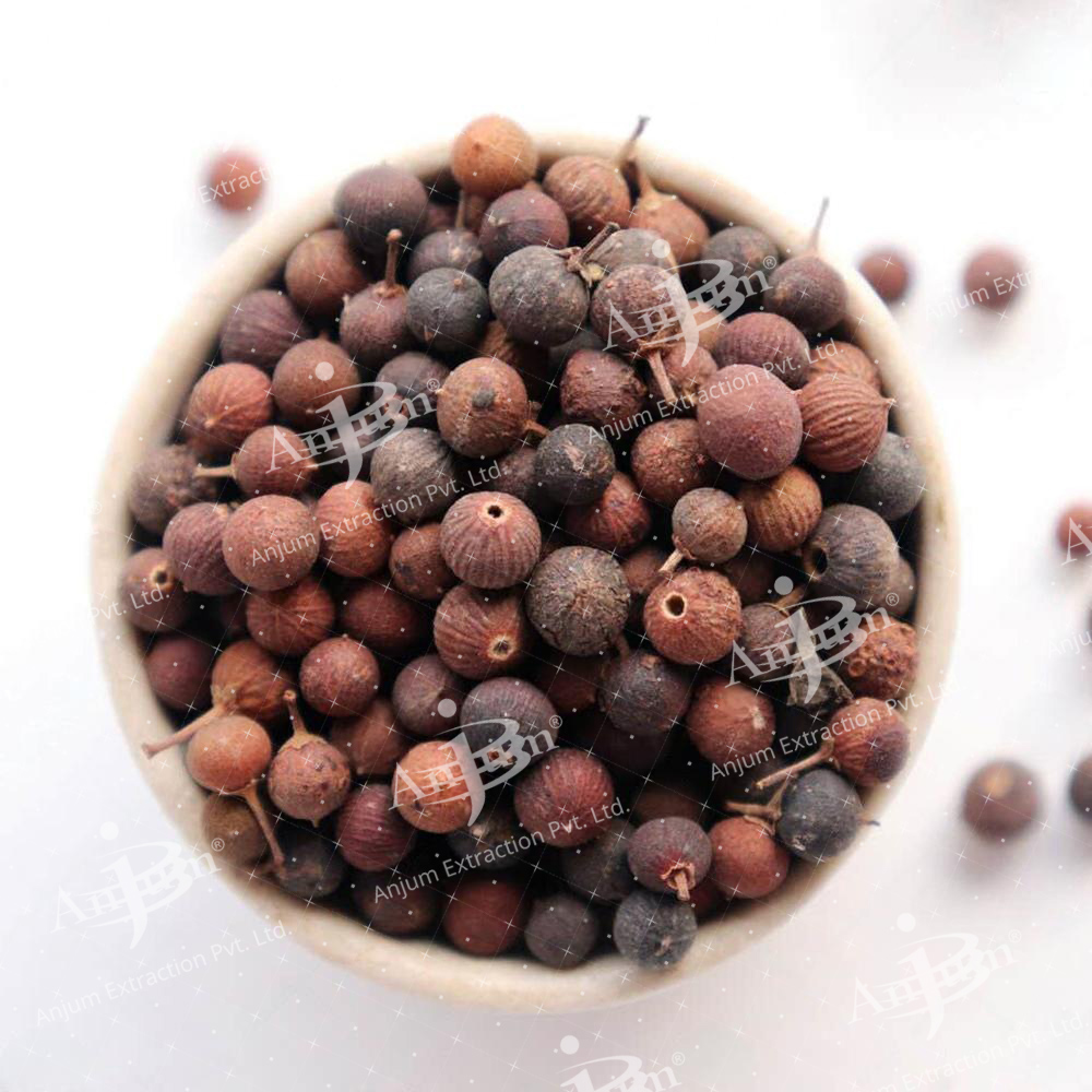 Embelia Ribes (Vidang) Extract - Application: Medicine