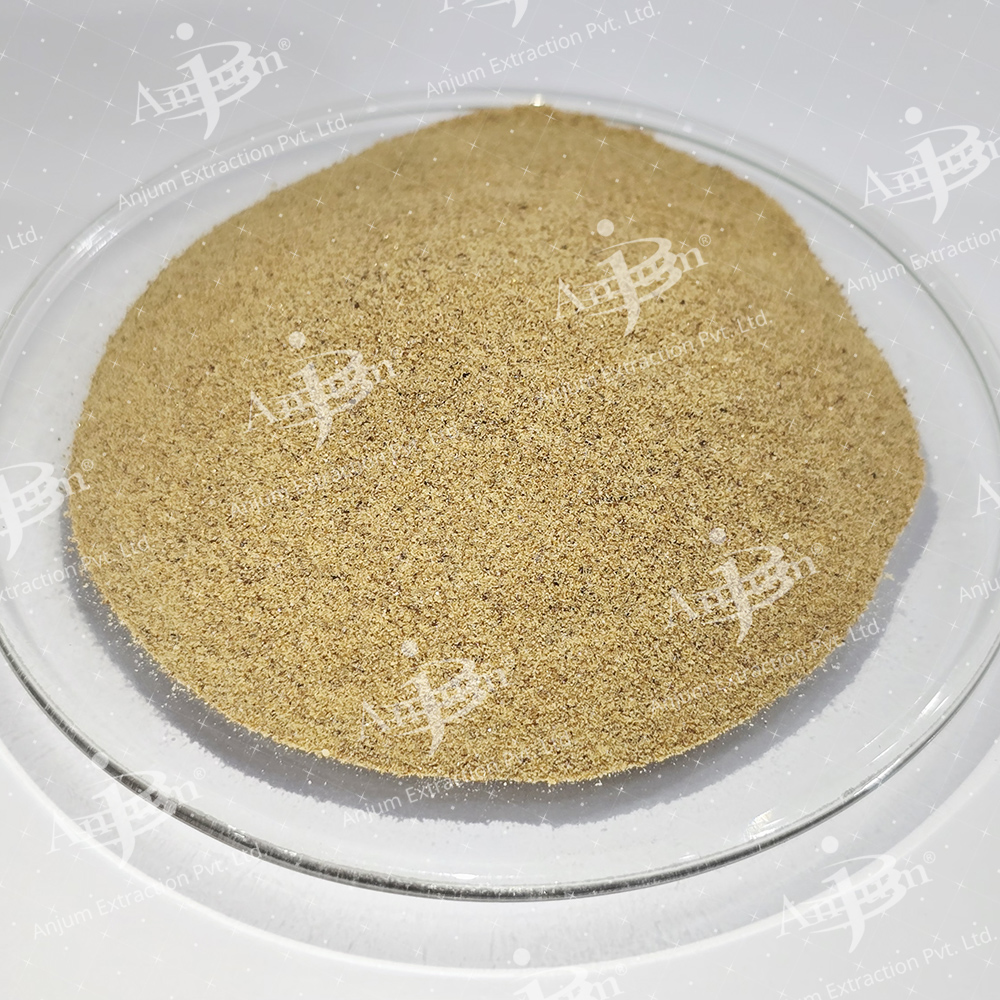 Foeniculum vulgare (Saunf) Extract