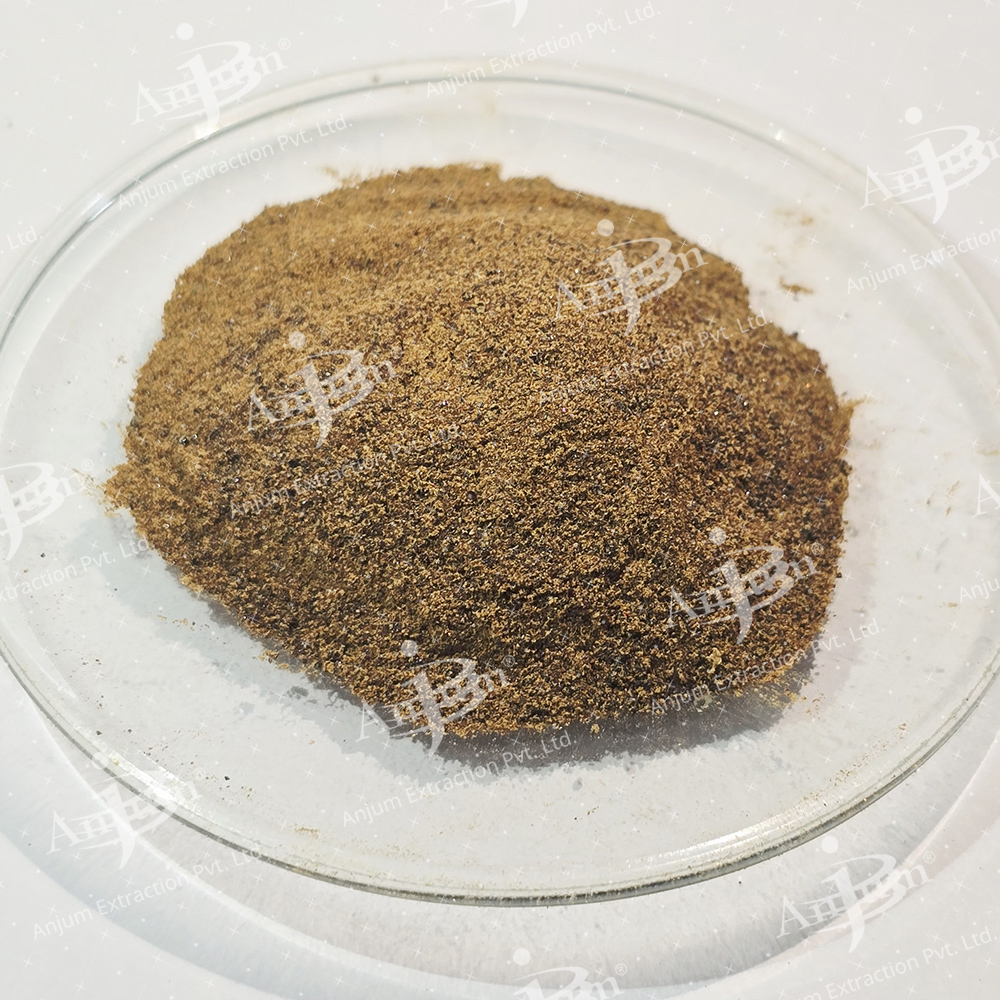 Solanum Nigrum (Makoi Dana) Extract - Application: Medicine