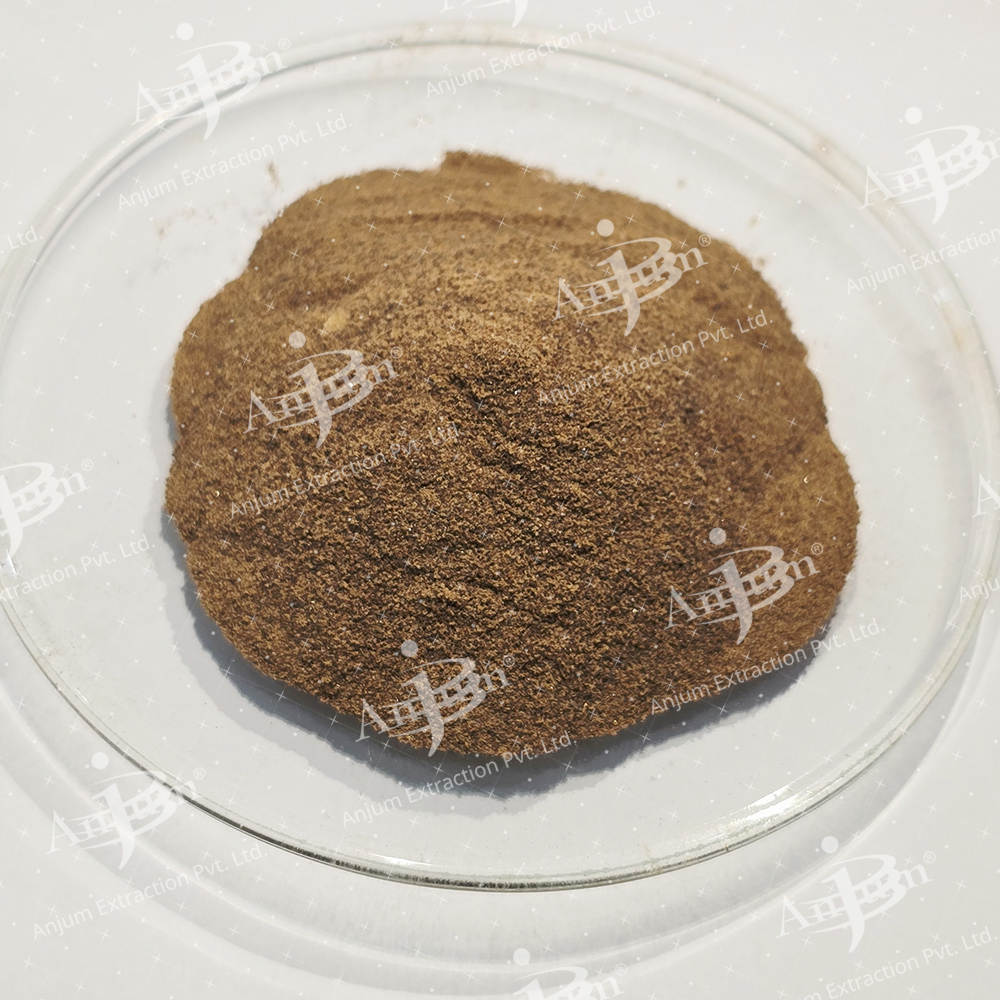 Nardostachys jatamansi (JatamansI) Extract