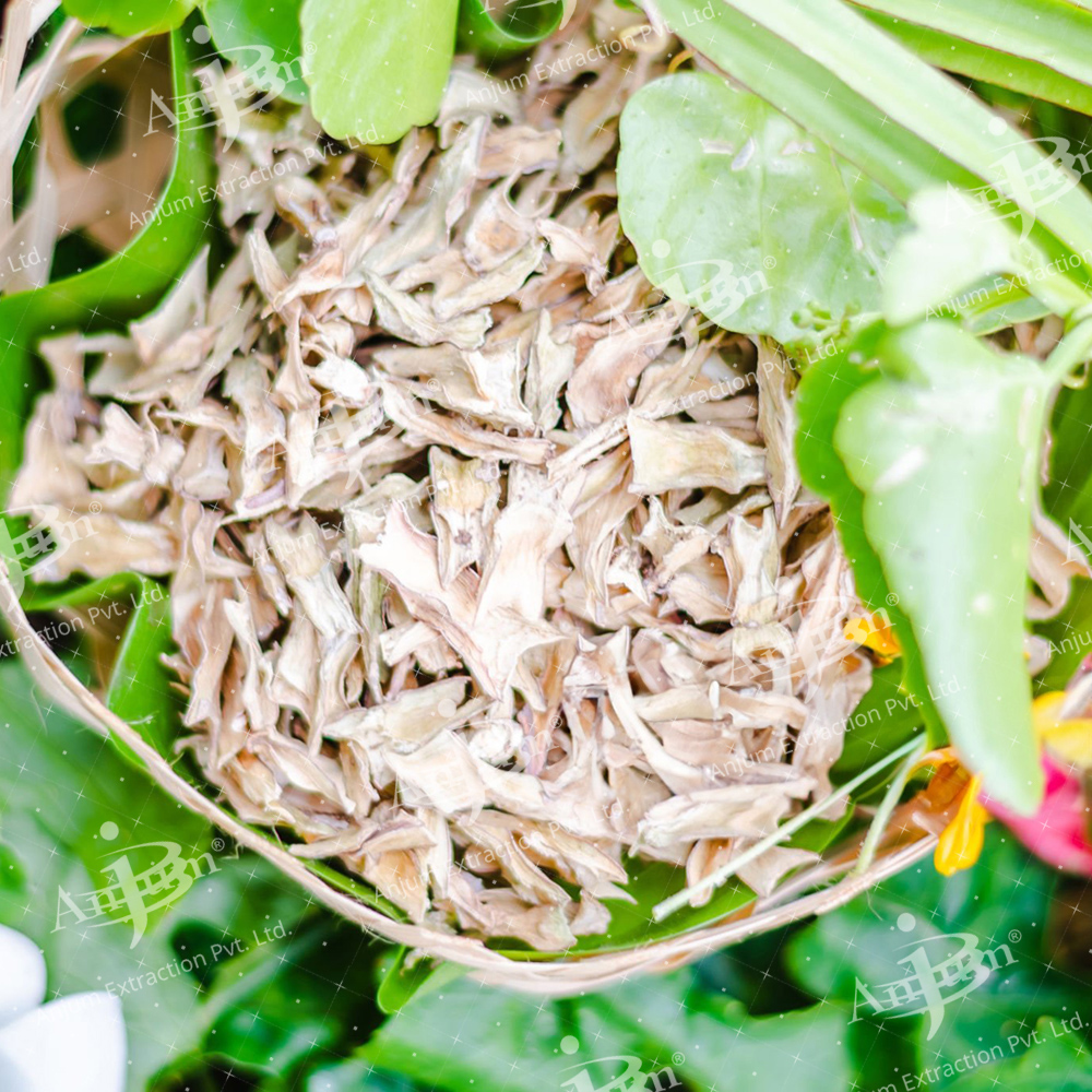 Cissus quadrangularis (Hadjod) Extract