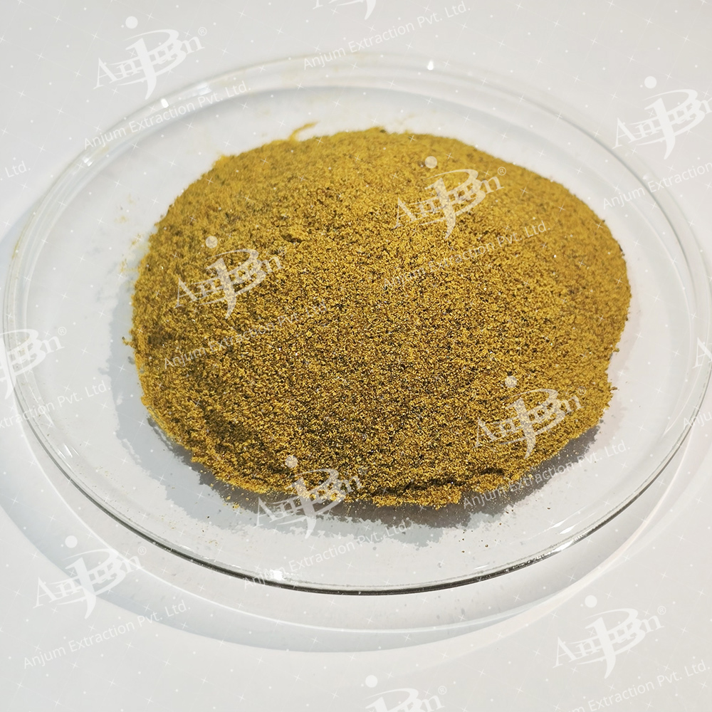 Berberis aristata (Daruhaldi) Extract