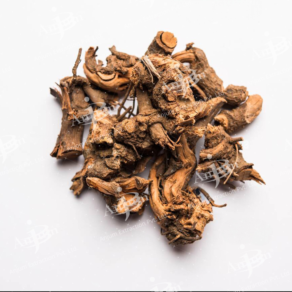 Plumbago indica (Chitrak Mool) Extract