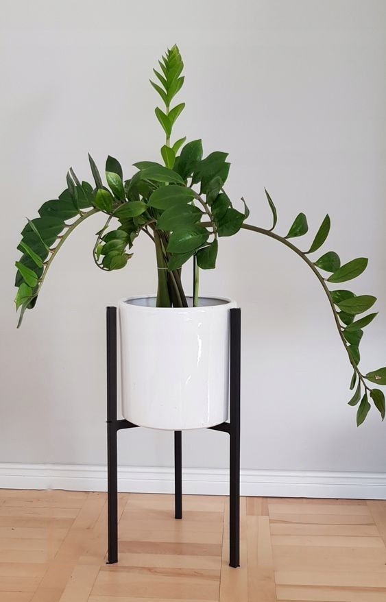 Home Decor Planter Stand - Color: Black
