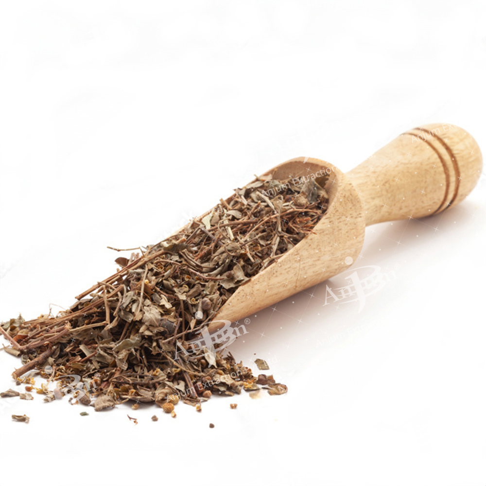 Phyllanthus Niruri (Bhumi Amla) Extract - Application: Medicine