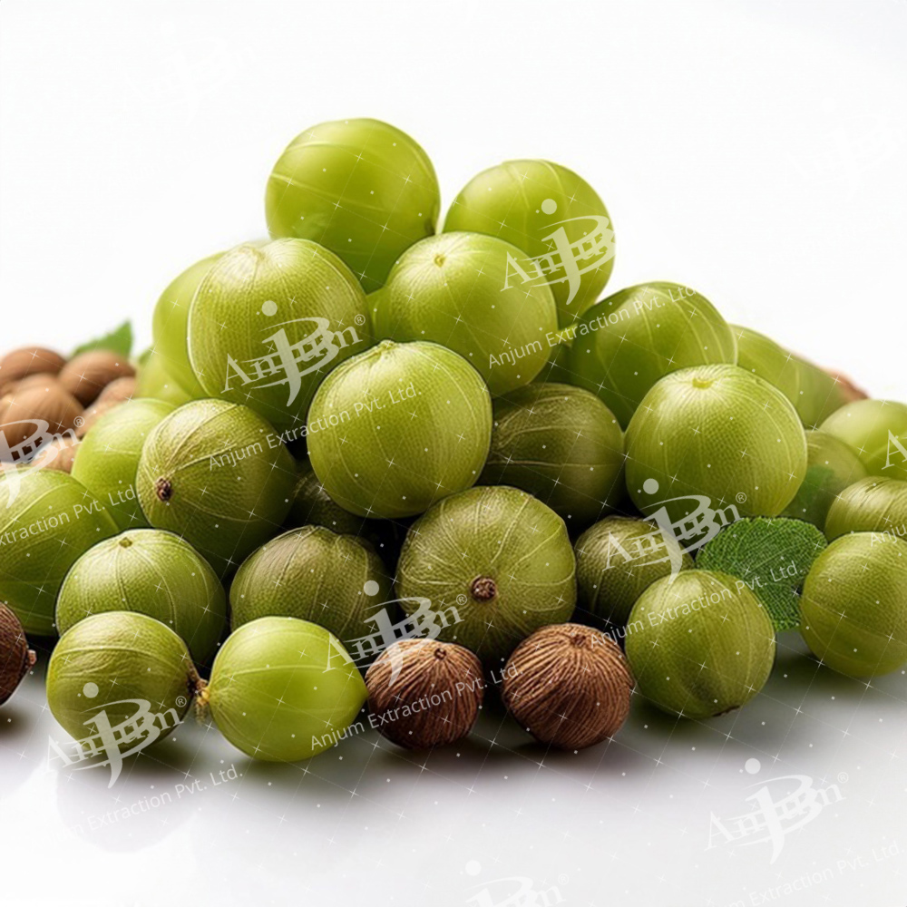 Phyllanthus Niruri (Bhumi Amla) Extract - Application: Medicine