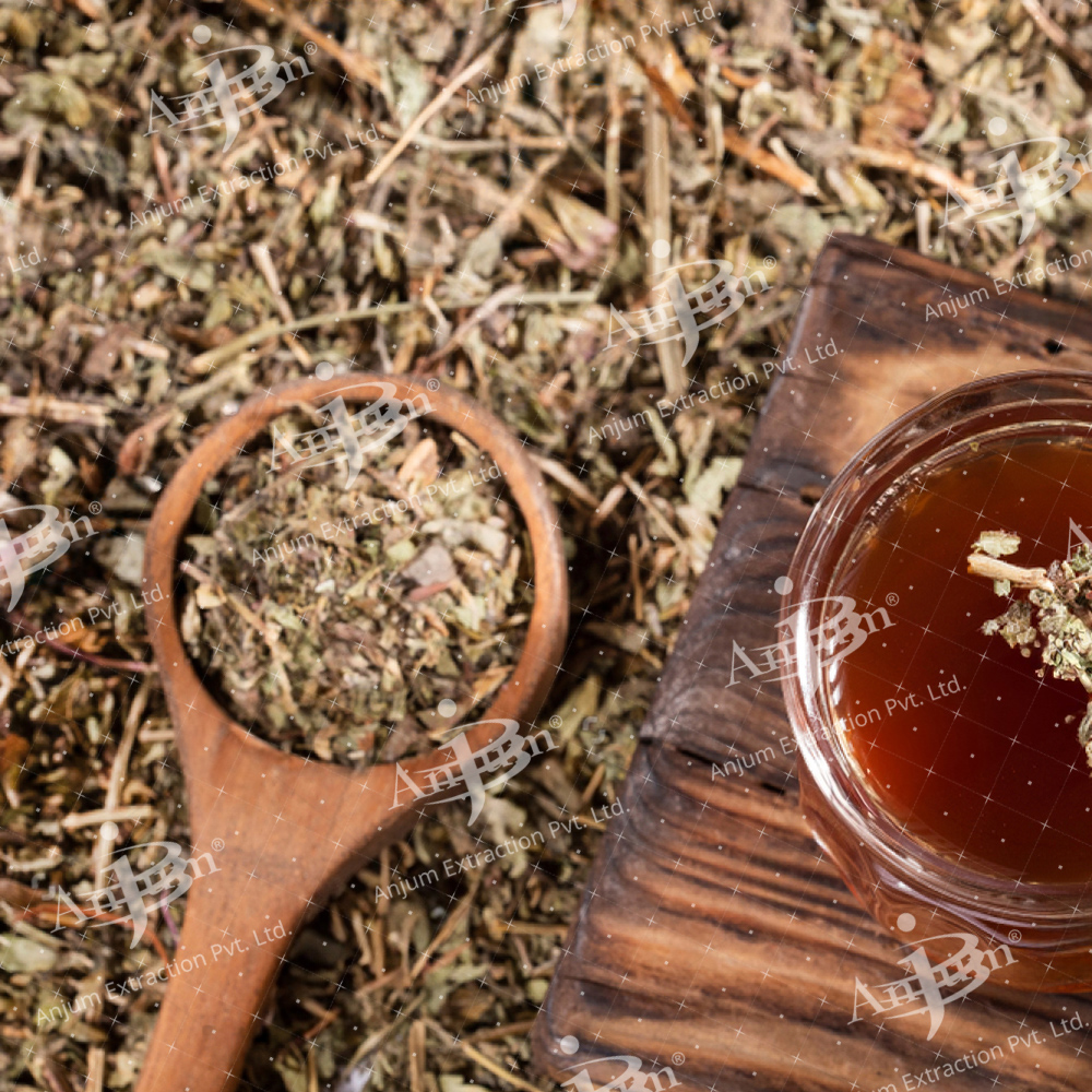 Phyllanthus niruri (Bhumi Amla) Extract