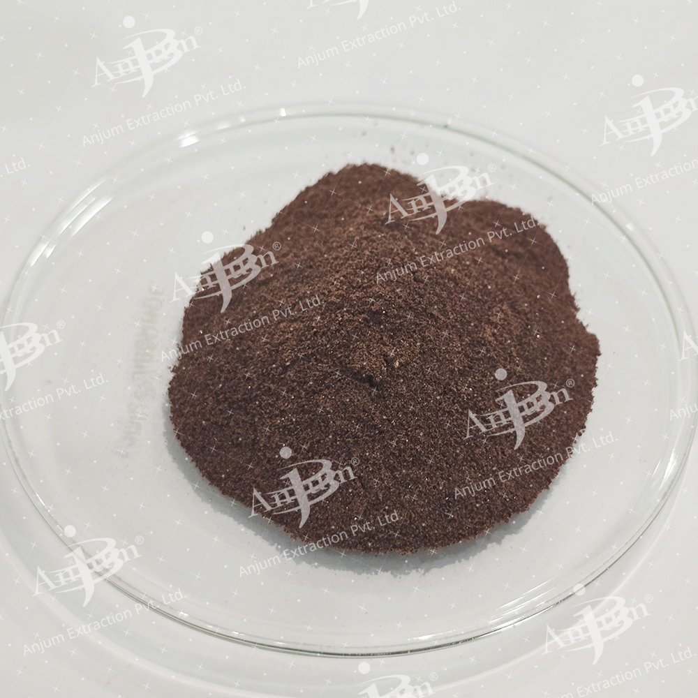 Terminalia arjuna (Arjuna) Extract