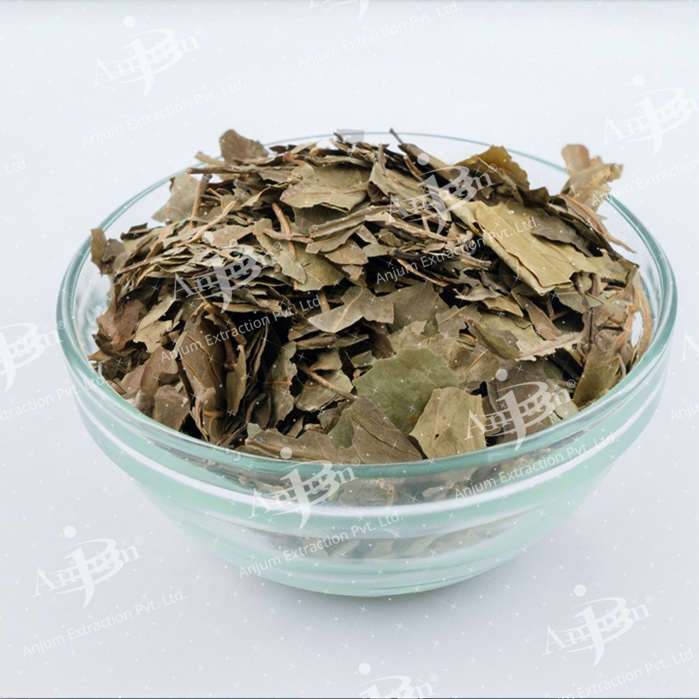 Aegle marmelos (Bael Patra) Extract