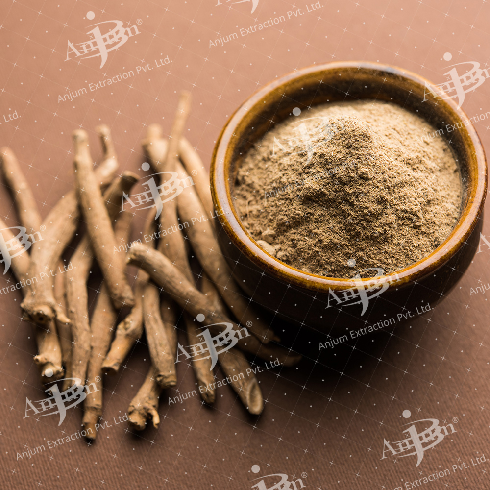 Withania somnifera (Ashwagandha) Extract