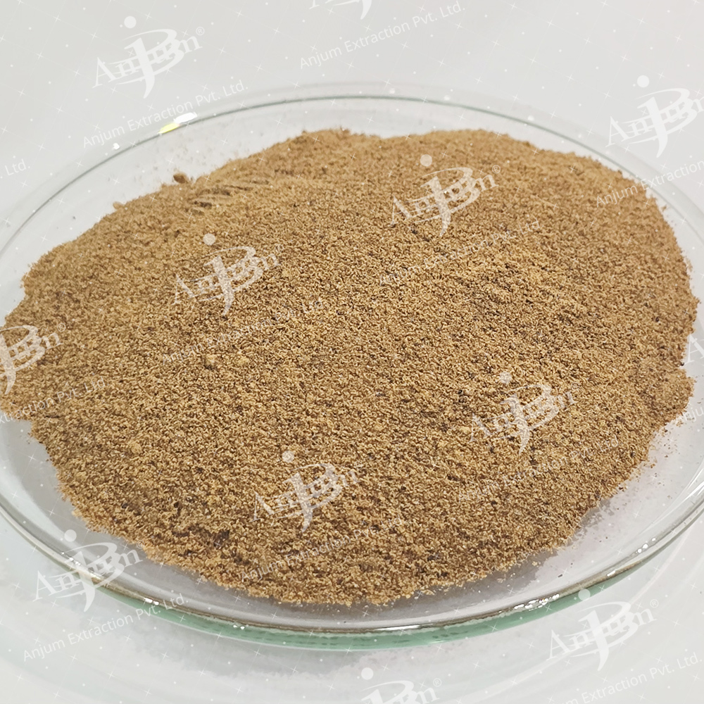 Withania somnifera (Ashwagandha) Extract