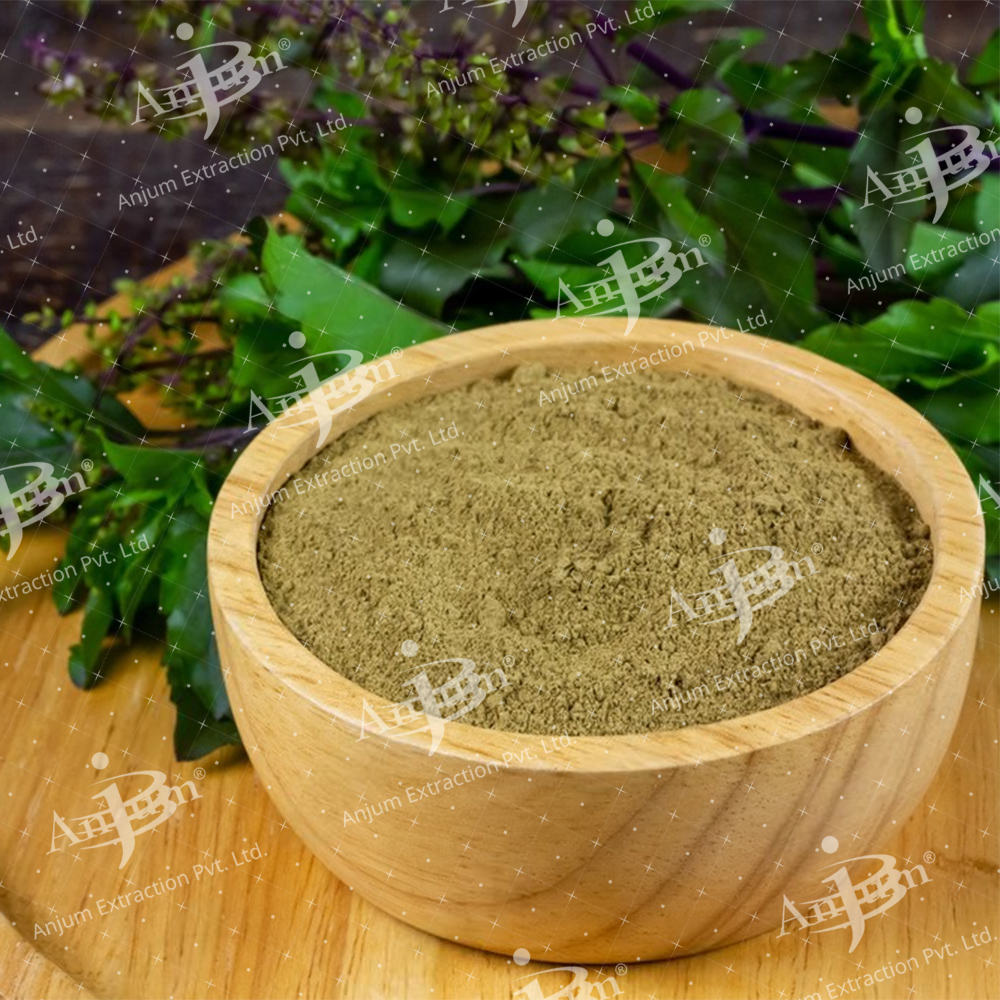 Ocimum sanctum (Tulsi) Extract