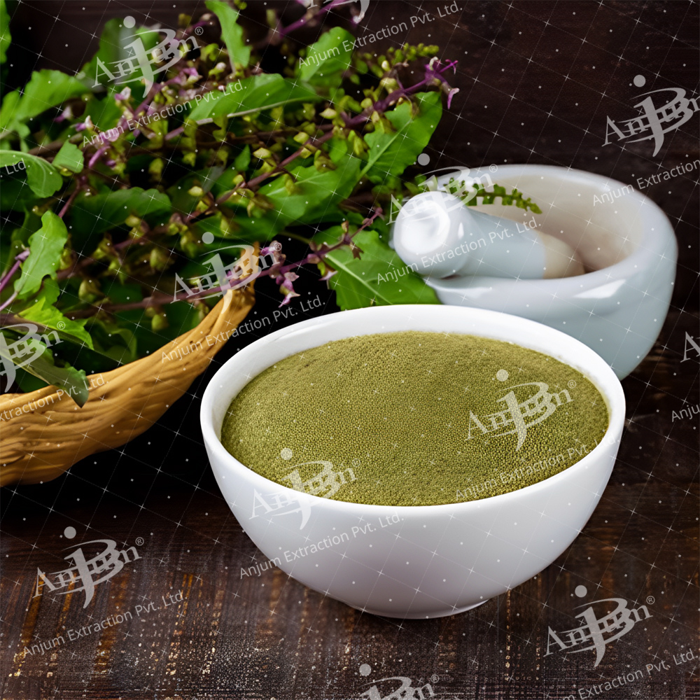 Ocimum sanctum (Tulsi) Extract