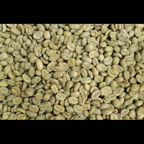 Pure Green Coffee Beans - Cultivation Type: Common