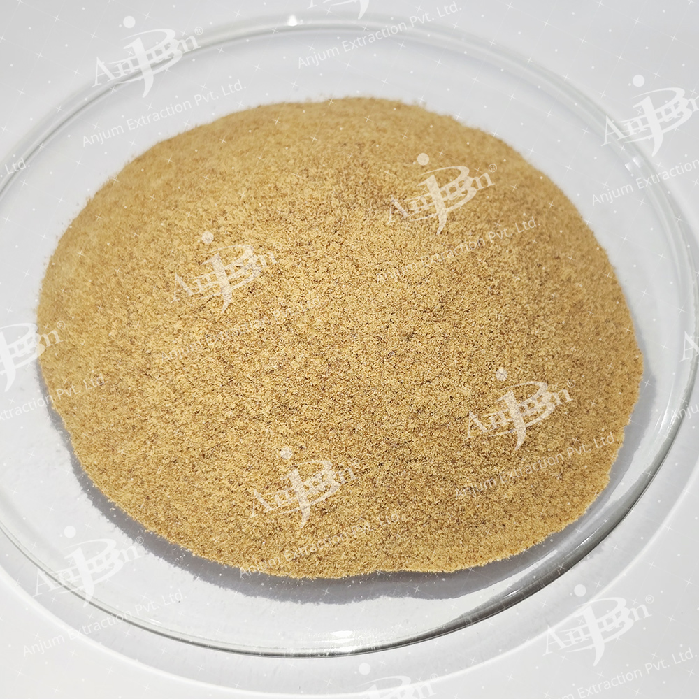 Chlorophytum arundinaceum (Safed Musli) Extract