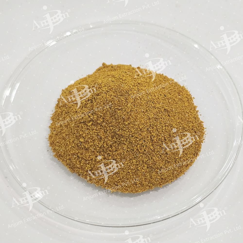 Curcuma longa (Haldi) Extract