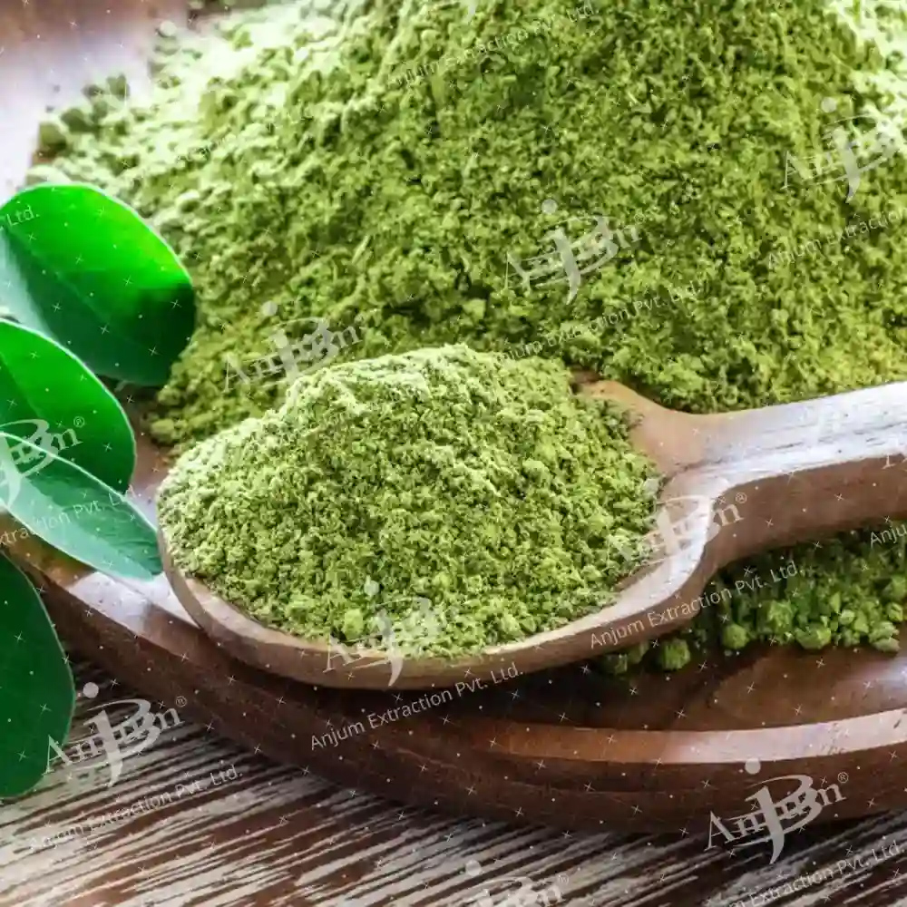 Moringa Oleifera (Sahajana) Extract - Application: Medicine