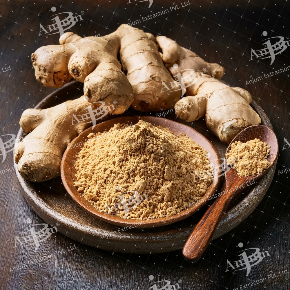 Zingiber Officinale (Sonth) Extract - Application: Medicine