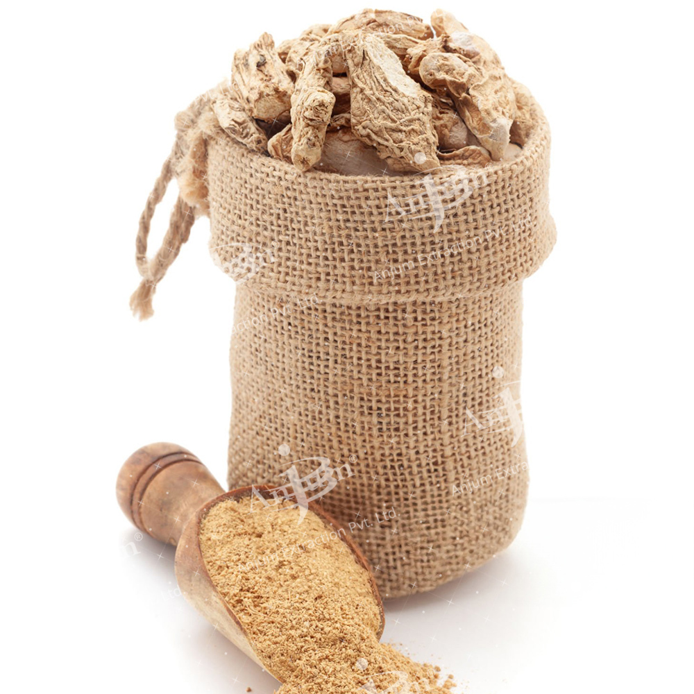 Zingiber Officinale (Sonth) Extract - Application: Medicine