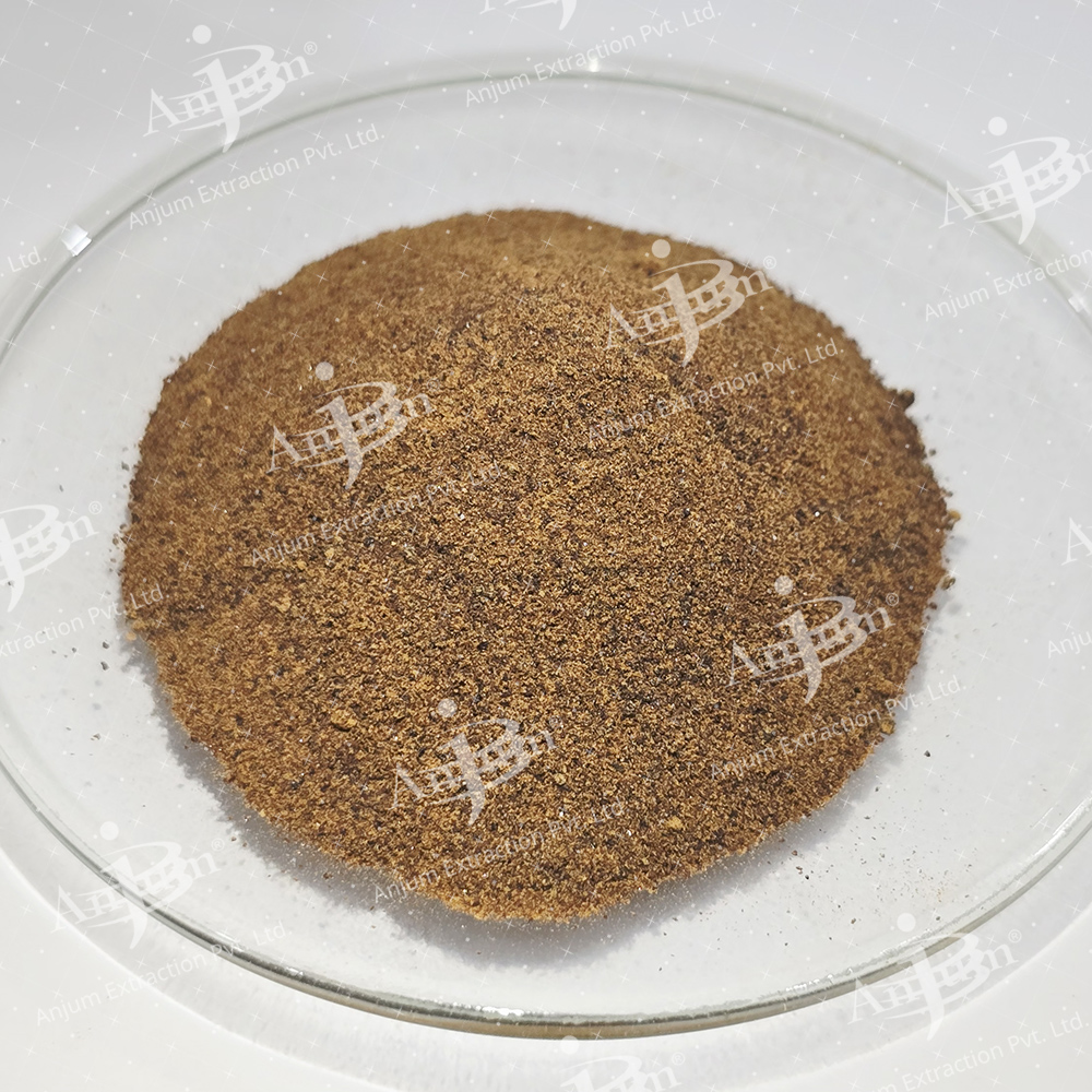 Zingiber Officinale (Sonth) Extract - Application: Medicine