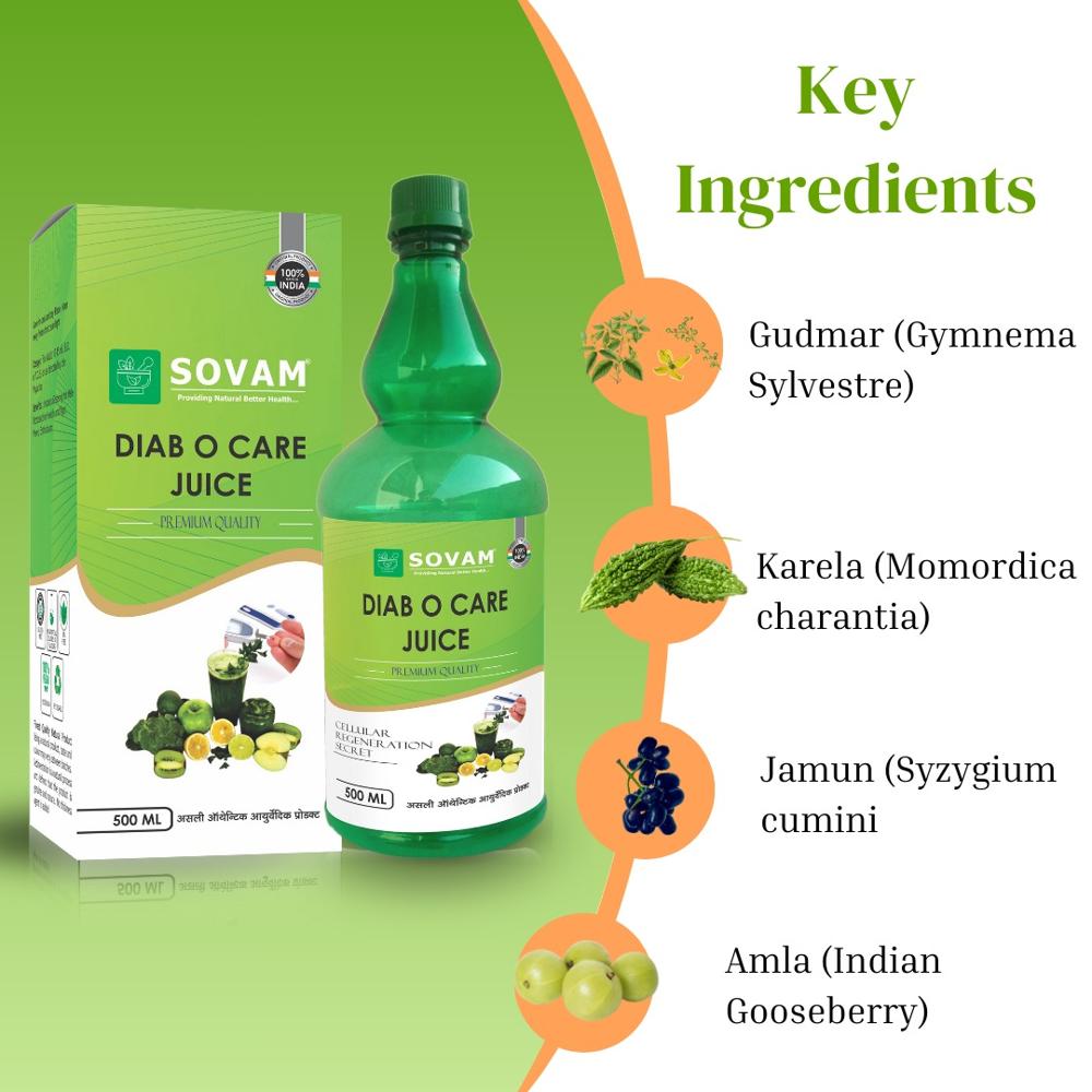 Diab-O-Care Juice Ayurvedic Tonic Diabetes 500 ML 