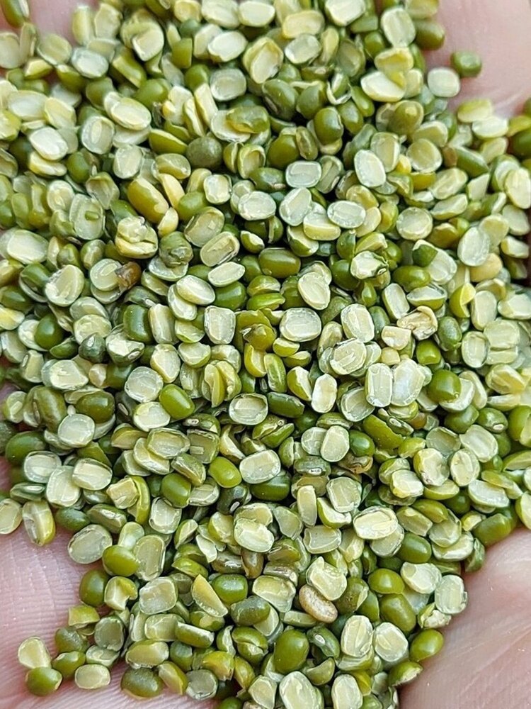 Split Green Moong Dal - Admixture (%): Max 1%