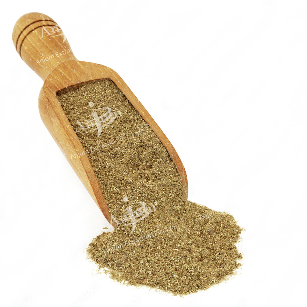 Gymnema sylvestre (Gudmar) Extract