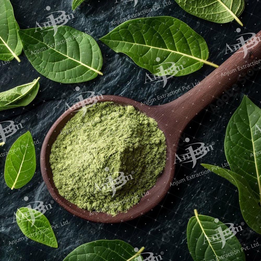 Gymnema sylvestre (Gudmar) Extract