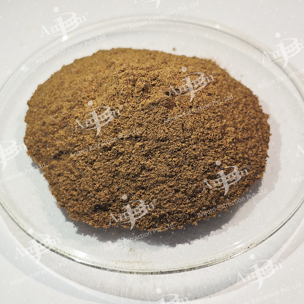 Glycyrrhiza Glabra (Mulethi) Extract - Application: Medicine