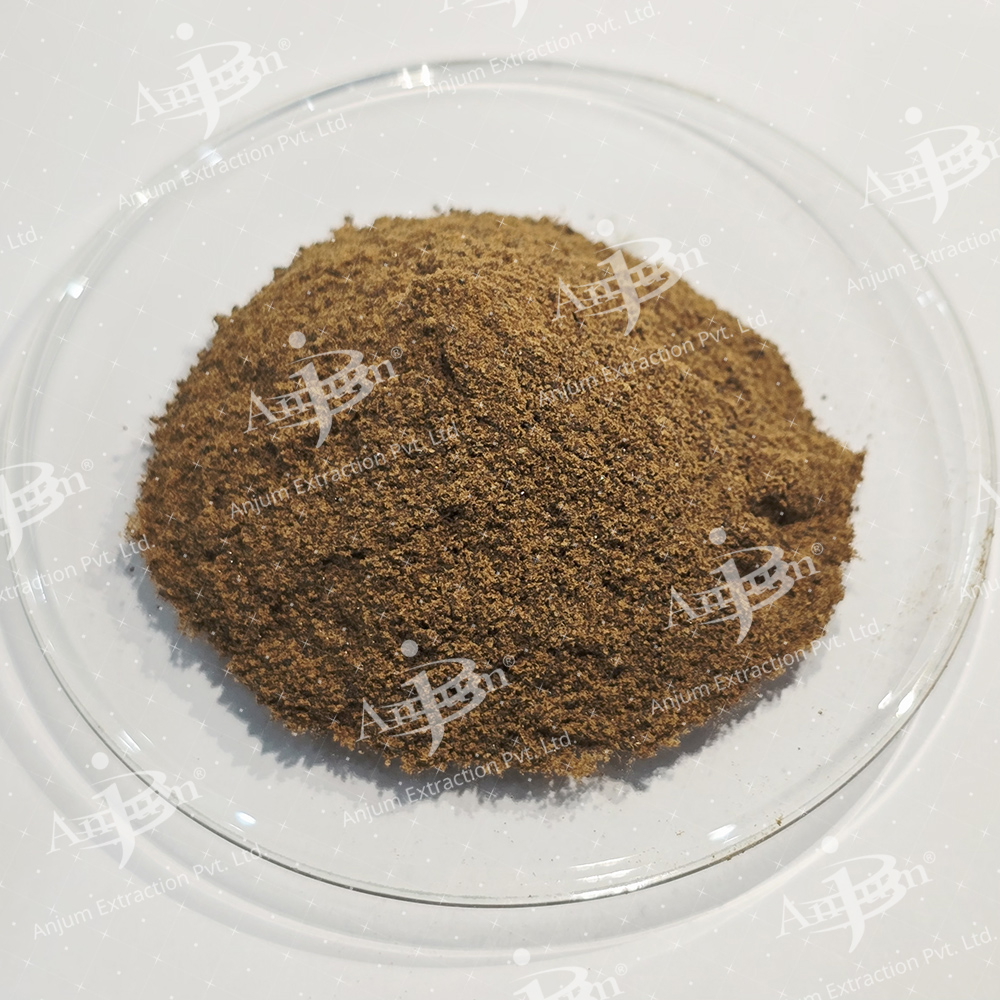 Gymnema Sylvestre (Gudmar) Extract - Application: Medicine