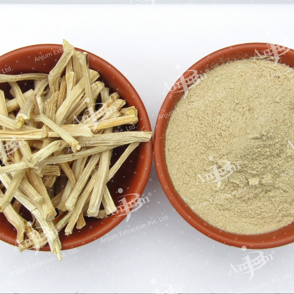 Asparagus Racemosus (Safed Shatavari) Extract - Application: Medicine