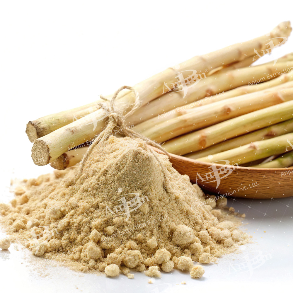 Asparagus racemosus (Safed Shatavari) Extract