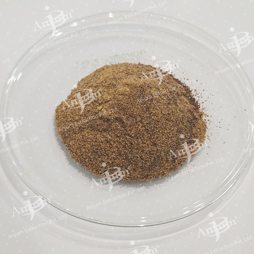 Asparagus Racemosus (Safed Shatavari) Extract - Application: Medicine